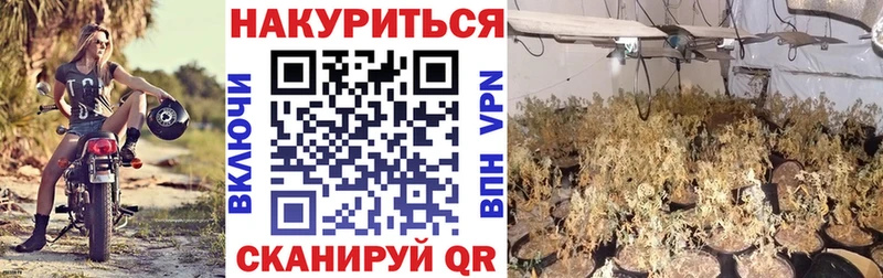 Купить закладку Шали Кокаин  МЕФ  СОЛЬ  АМФ  ГАШИШ 