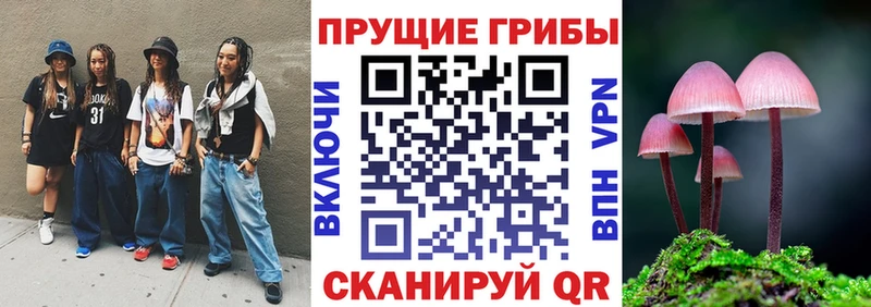 Псилоцибиновые грибы мицелий  где найти   Шали 